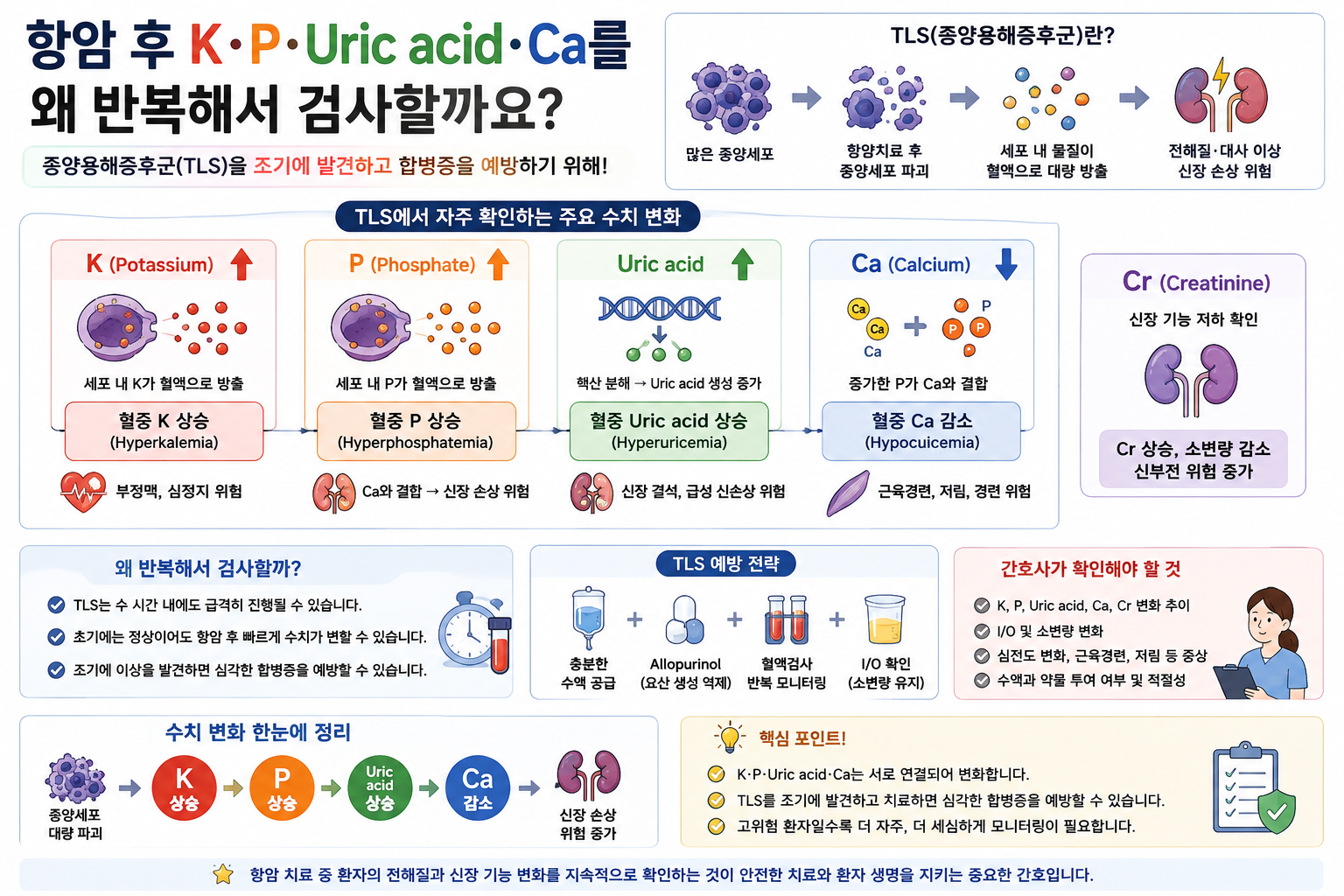 전해질 반복검사이유 이미지