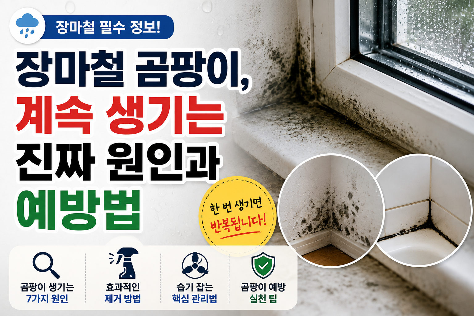 베란다 곰팡이 썸네일